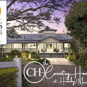 The At Hunchy ***** Montville